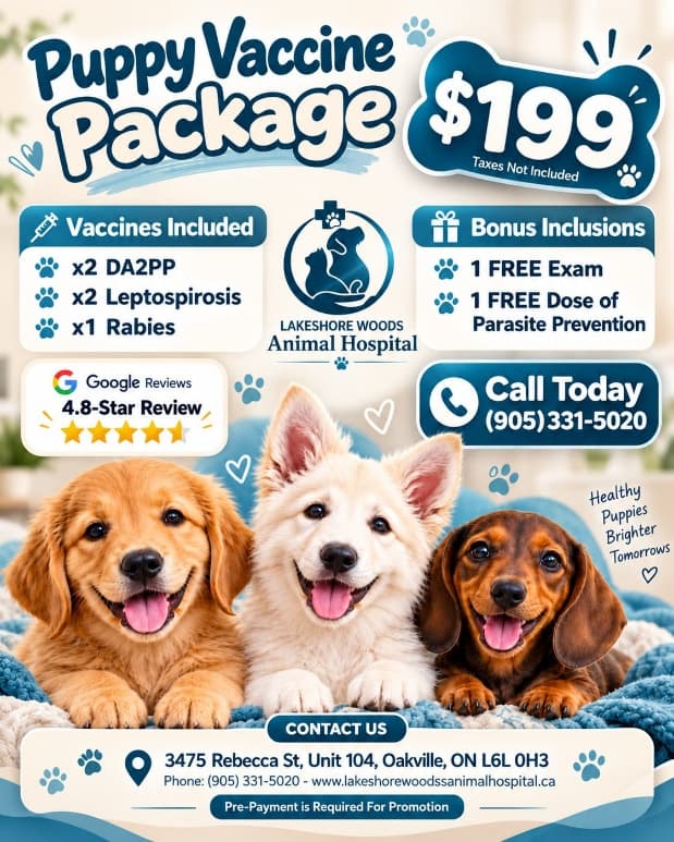 Puppy Vaccine Package promotion flyer
