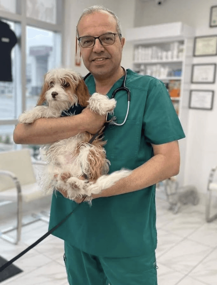 Dr. Sam Masoud, DVM