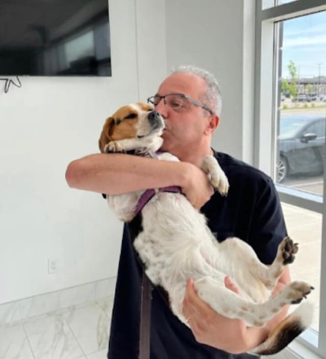 Expert Veterinary Care